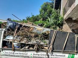 Shed Removal in Fifth Ward, LA